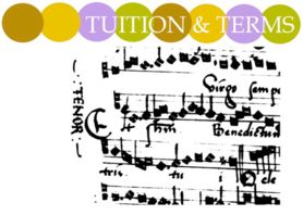 Tuition for guitar lessons